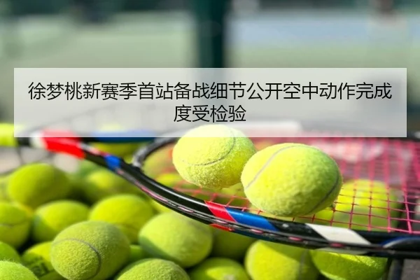 徐梦桃新赛季首站备战细节公开空中动作完成度受检验
