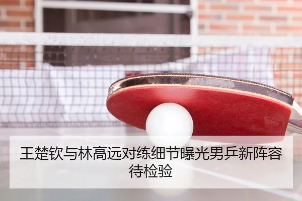王楚钦与林高远对练细节曝光男乒新阵容待检验