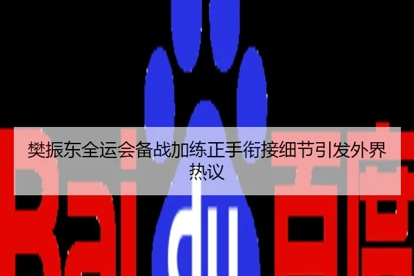 樊振东全运会备战加练正手衔接细节引发外界热议