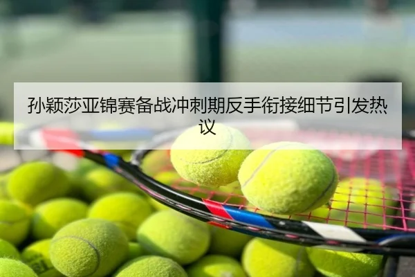 孙颖莎亚锦赛备战冲刺期反手衔接细节引发热议